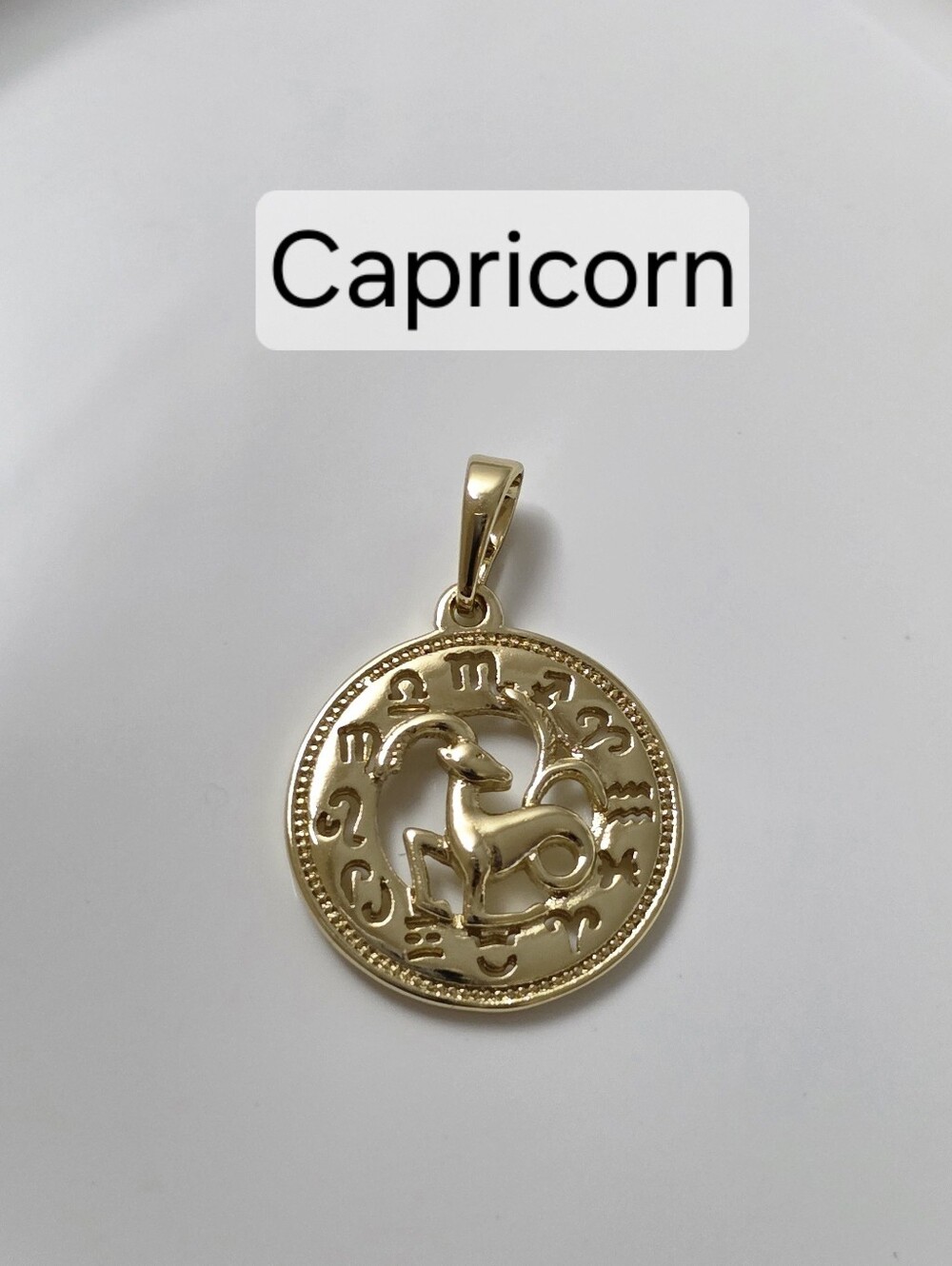 Zodiac Capricorn Sign Pendant